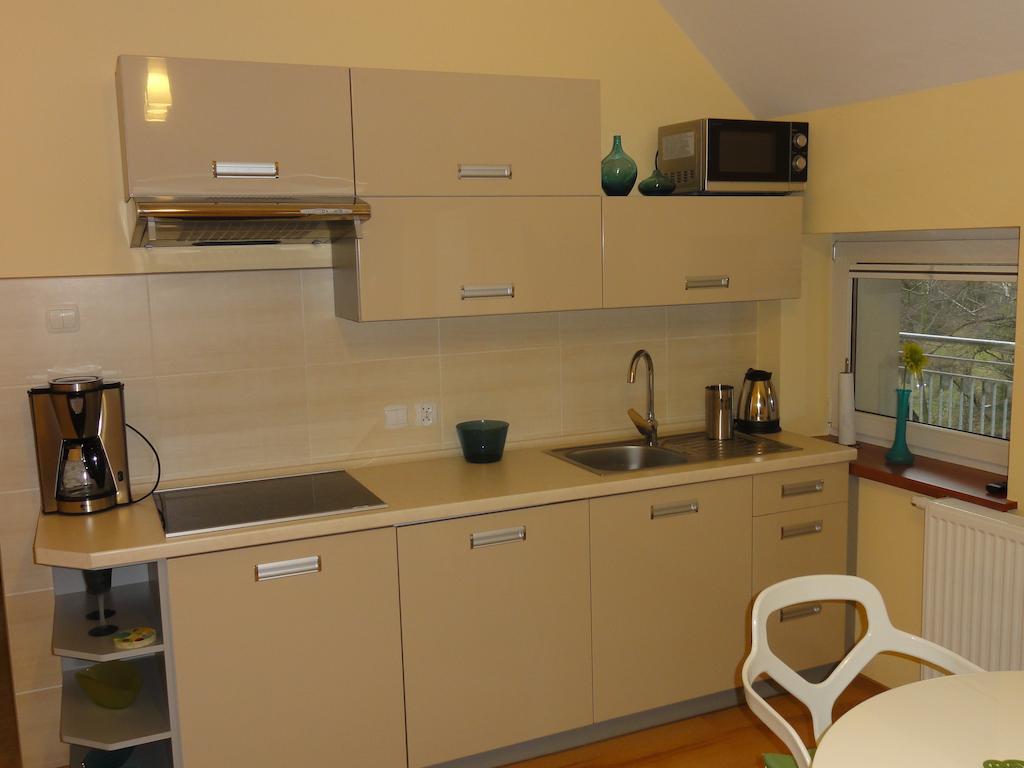 Apartament Bukowa Daire Wisła Oda fotoğraf